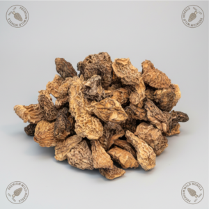 HOME morel mushroom b grade