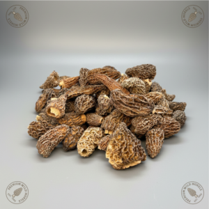 morel mushroom special