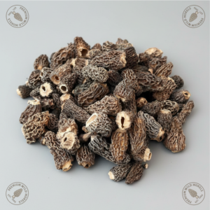 morel mushroom mini special