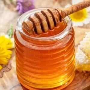 HOME paloosa honey (b grade) – wild forest honey