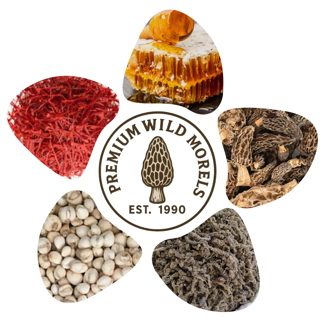 HOME – Premium Wild Morels